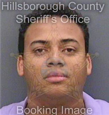 Perez Manuel - Hillsborough County, FL 