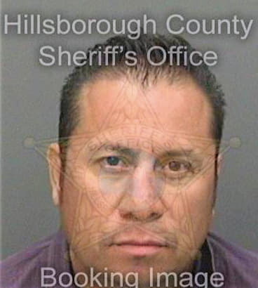 Olguinhernandez Ramon - Hillsborough County, FL 