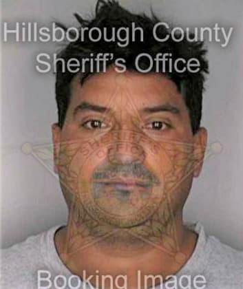 Gonzalez Ricardo - Hillsborough County, FL 