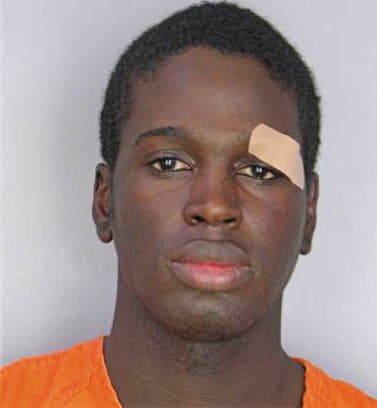 Lee Terence - Hillsborough County, FL 