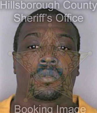 Simmons Michael - Hillsborough County, FL 