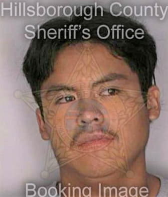 Simon Miguel - Hillsborough County, FL 