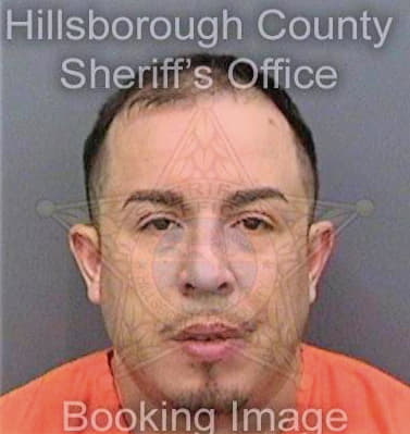 Gonzalez Andres - Hillsborough County, FL 