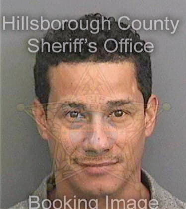 Vegarodriguez Antonio - Hillsborough County, FL 