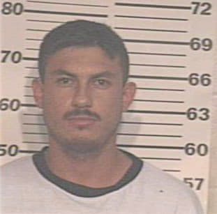 Guajardo Hector - Hidalgo County, TX 