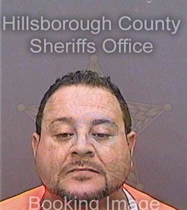 Vasquez Anthony - Hillsborough County, FL 