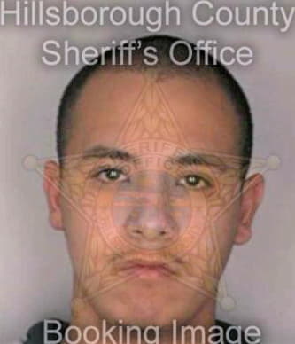 Lugo Ismael - Hillsborough County, FL 