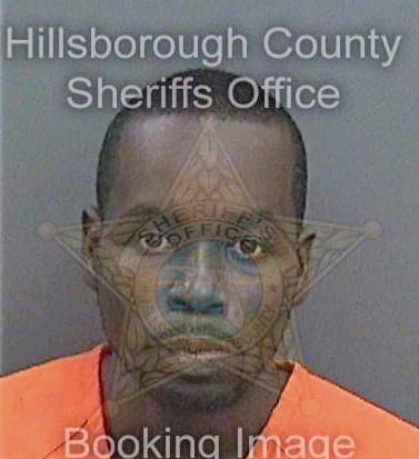 Black Queodatus - Hillsborough County, FL 