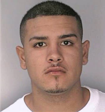 Meza Jose - Hillsborough County, FL 