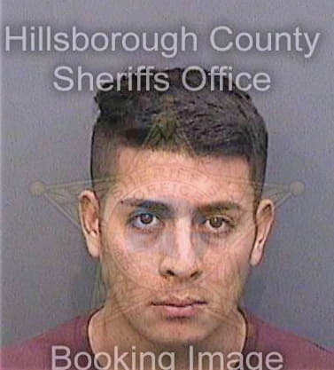 Cariasbeltran Wilson - Hillsborough County, FL 