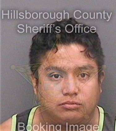 Solisgonzalez Dany - Hillsborough County, FL 