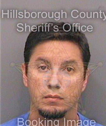 Sanchez Juan - Hillsborough County, FL 