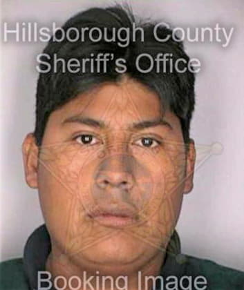 Joseantonio Felix - Hillsborough County, FL 