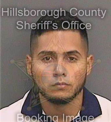 Martinez Omar - Hillsborough County, FL 