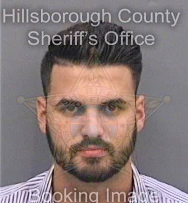 Fernandez Gustavo - Hillsborough County, FL 