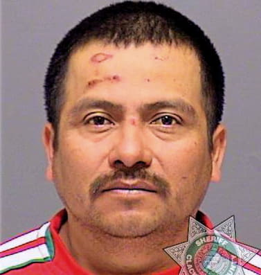 Dejesusmartinez Natalio - Clackamas County, OR 