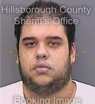 Canbazer Serhan - Hillsborough County, FL 