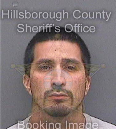 Rebulloza Hector - Hillsborough County, FL 