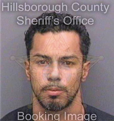 Martevazquez Jesus - Hillsborough County, FL 