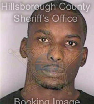 Mcpherson Alan - Hillsborough County, FL 