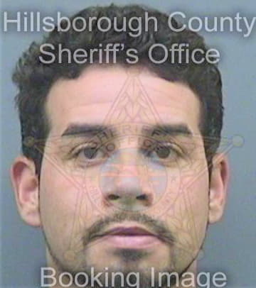 Ferrer Gabriel - Hillsborough County, FL 