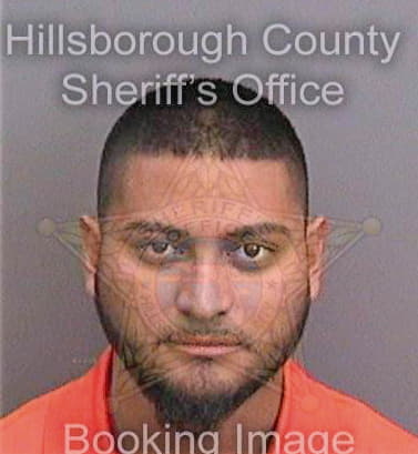 Soria Enrique - Hillsborough County, FL 