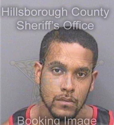 Figueroa Najae - Hillsborough County, FL 