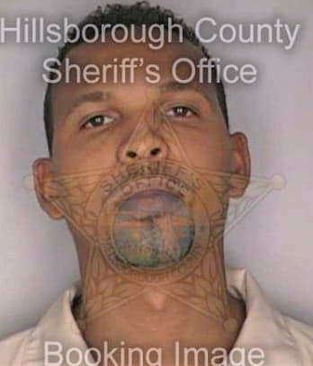 Jorge Crisolo - Hillsborough County, FL 