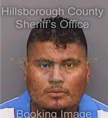 Pinto Reinaldo - Hillsborough County, FL 