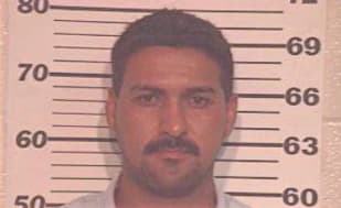 Garza Sergio - Hidalgo County, TX 