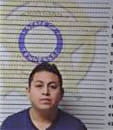 Hernandez Alejandro - McMinn County, TN 