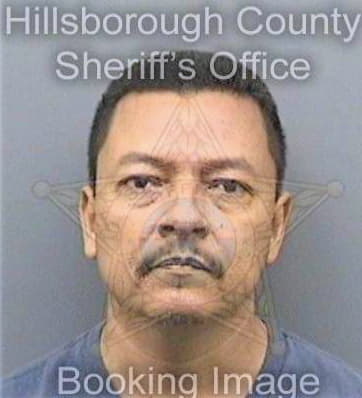 Guevaraceballos Jose - Hillsborough County, FL 