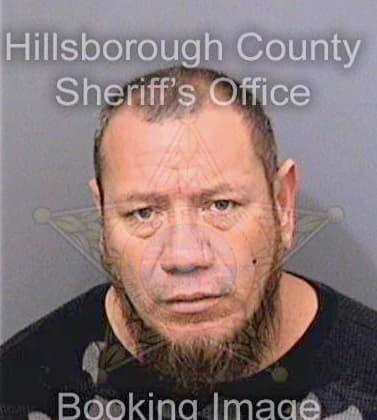 Fuentes Benjamin - Hillsborough County, FL 