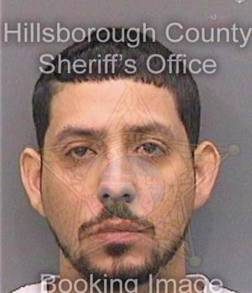 Garcia Luis - Hillsborough County, FL 