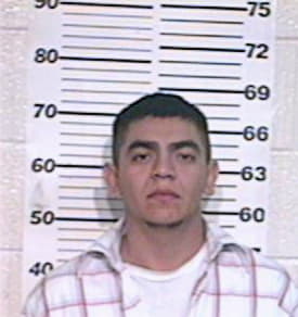 Hernandez Teodoro - Hidalgo County, TX 