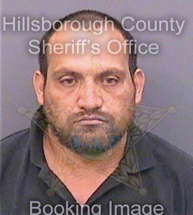 Villagomez Jesus - Hillsborough County, FL 