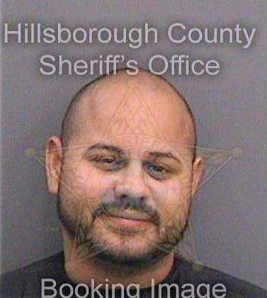 Sanchezsoto Jose - Hillsborough County, FL 