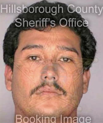 Martinez Roel - Hillsborough County, FL 