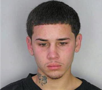 Ramirez Nicolas - Hillsborough County, FL 