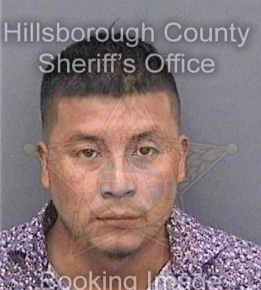 Sanchezdimas Cesar - Hillsborough County, FL 