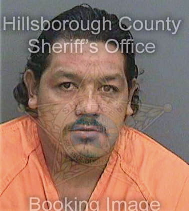 Reyestovar Gerardo - Hillsborough County, FL 