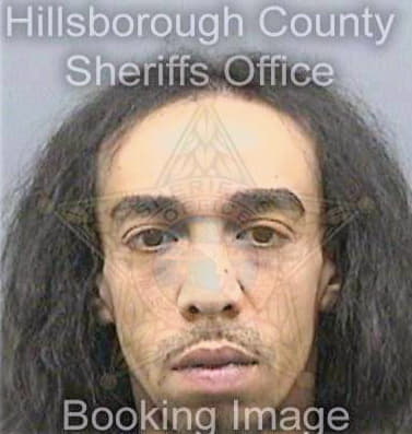 Rivera George - Hillsborough County, FL 