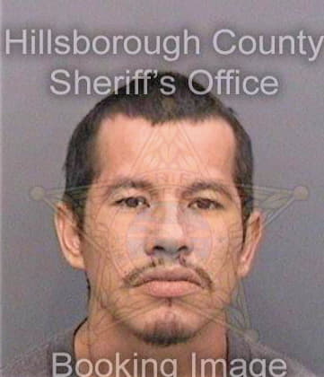 Sierra Damian - Hillsborough County, FL 