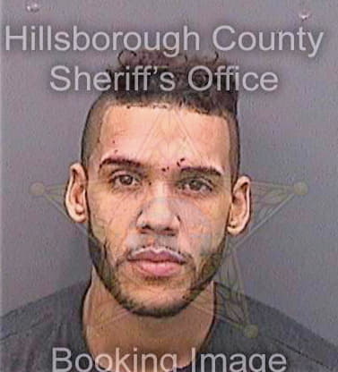 Domenech Carlos - Hillsborough County, FL 