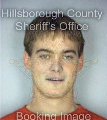 Lewis Andrew - Hillsborough County, FL 