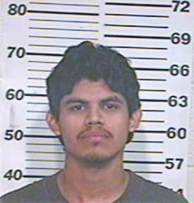 Morales Pedro - Hidalgo County, TX 