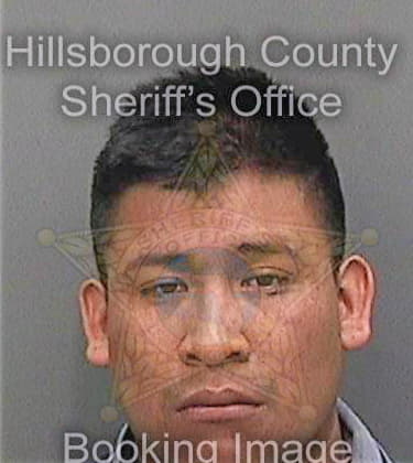 Diazmendez Adolfo - Hillsborough County, FL 