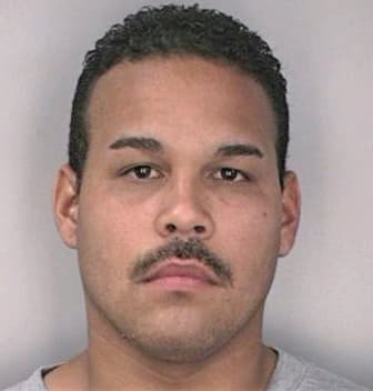 Melendez Christian - Hillsborough County, FL 