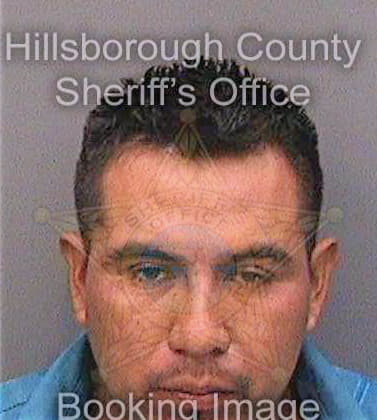 Lopezvelasquez Tony - Hillsborough County, FL 