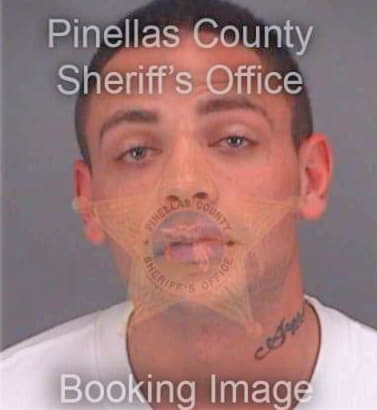 Locklear Jimmy - Pinellas County, FL 